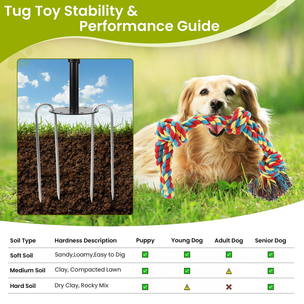Backyard-park-friendly design supports bonding and interactive dog-owner games.