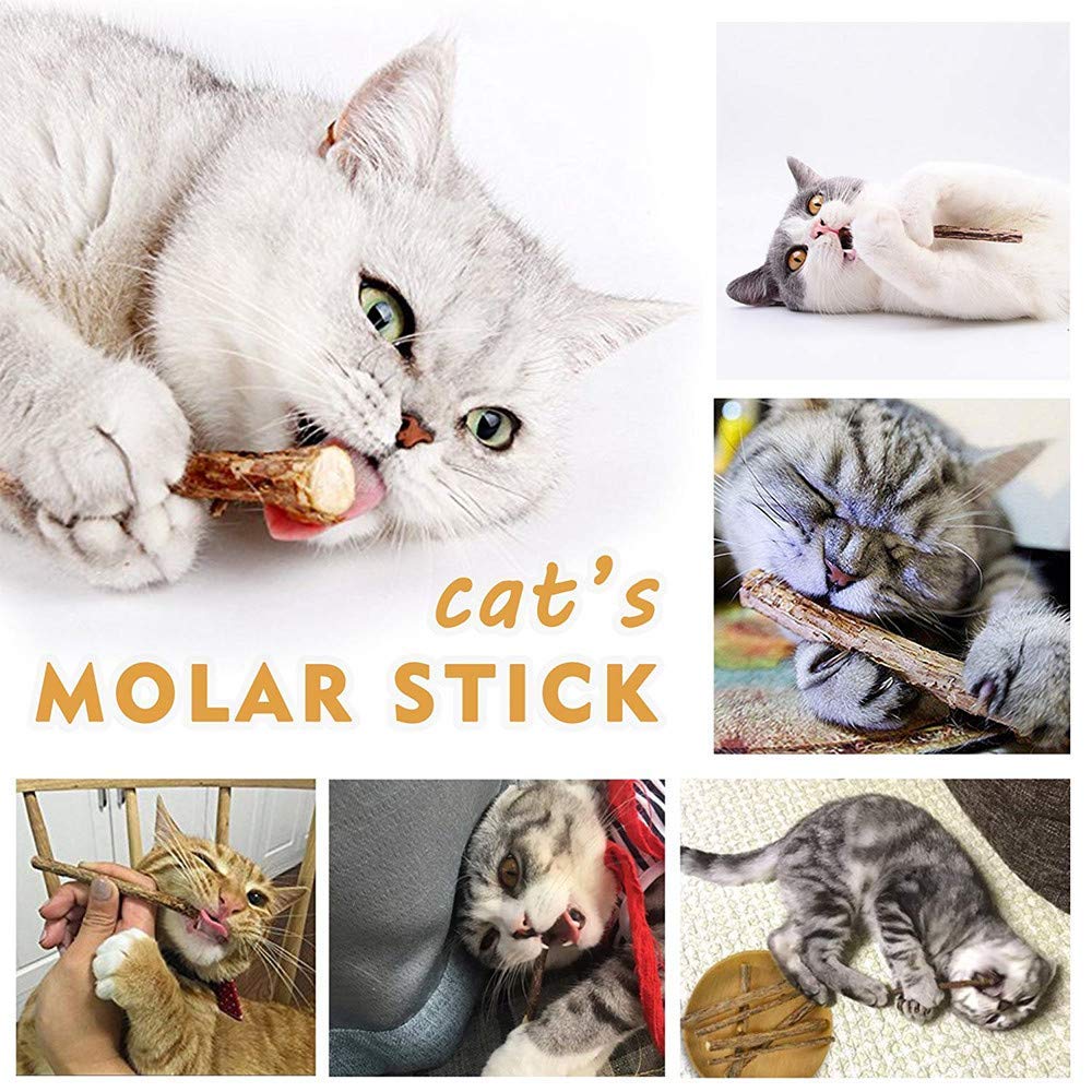 AILUKI cat toys bundle showcases varied enrichment for multi-pet households.