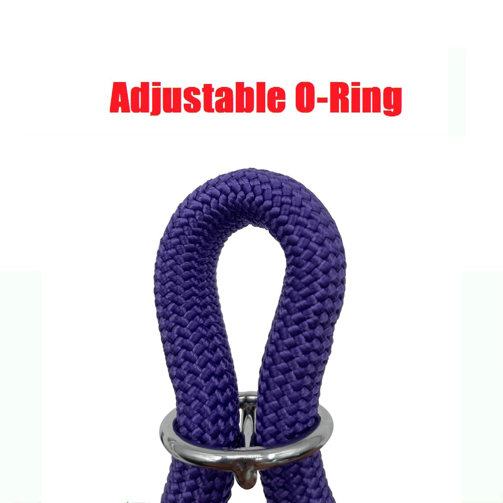 Aiminto purple braided collar on a medium large dog highlighting comfortable wear and sturdy strap