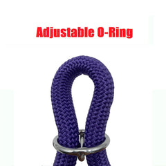 Aiminto purple braided collar on a medium large dog highlighting comfortable wear and sturdy strap