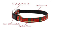 Aiminto reinforced structure dog collar stands up to rambunctious dogs