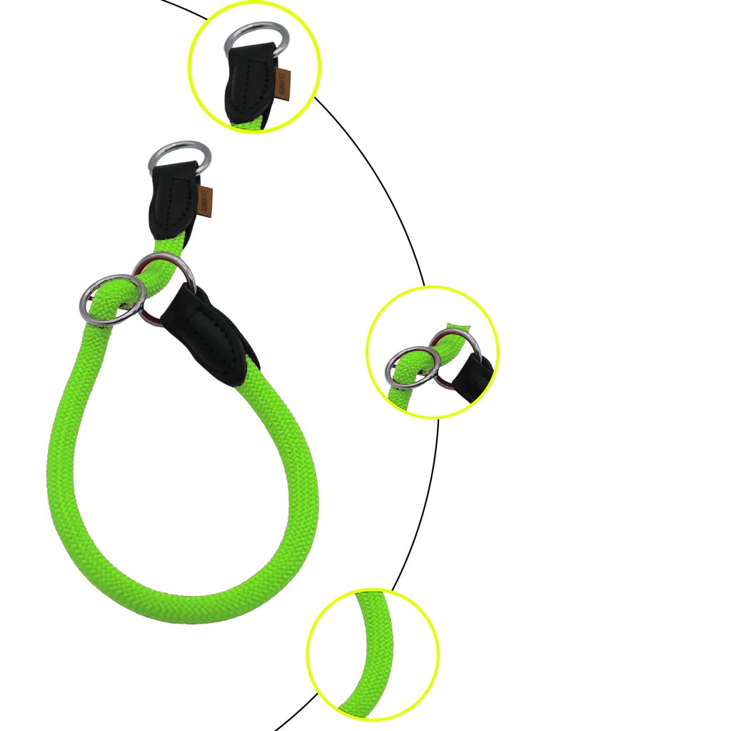 Aiminto light green braided collar on dog illustrates fashionable, functional design.