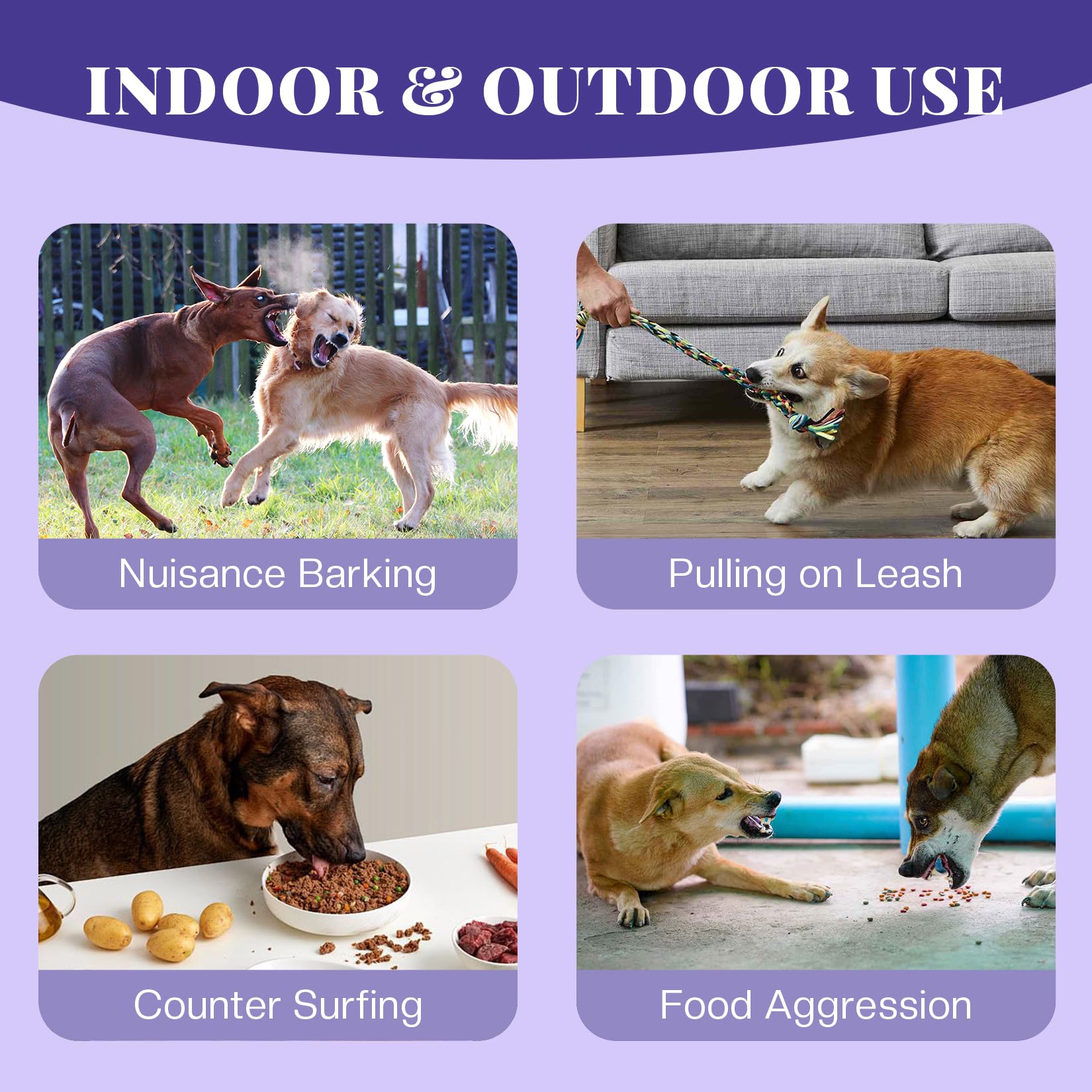 AIMSEIZE dog corrector spray brand image emphasizes trusted training tool for pet owners
