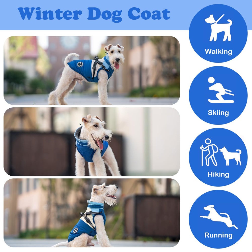 AIMYDOG dog winter coat blue color on snow highlights stylish, weather-ready fit for all sizes.