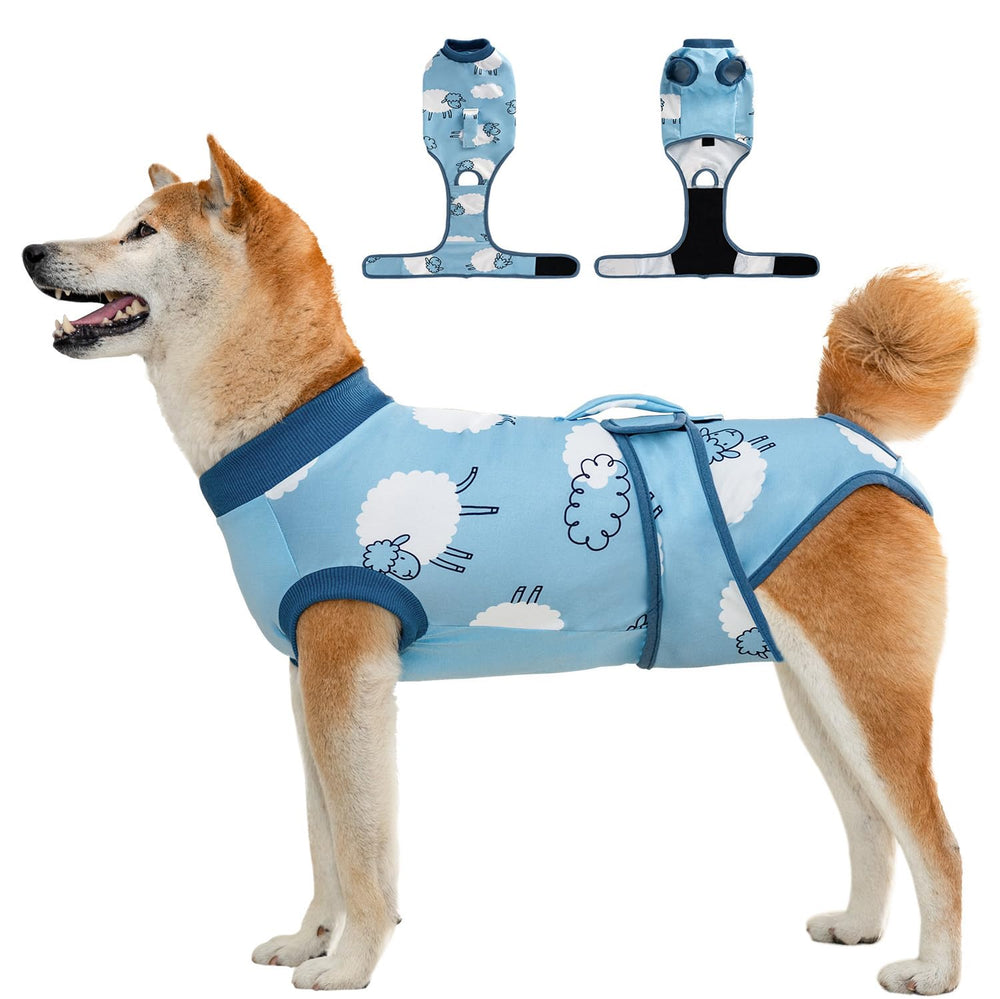 Aimydog Recovery Suit on a dog with breathable fabric protecting incisions during activity.