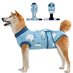 Aimydog Recovery Suit on a dog with breathable fabric protecting incisions during activity.