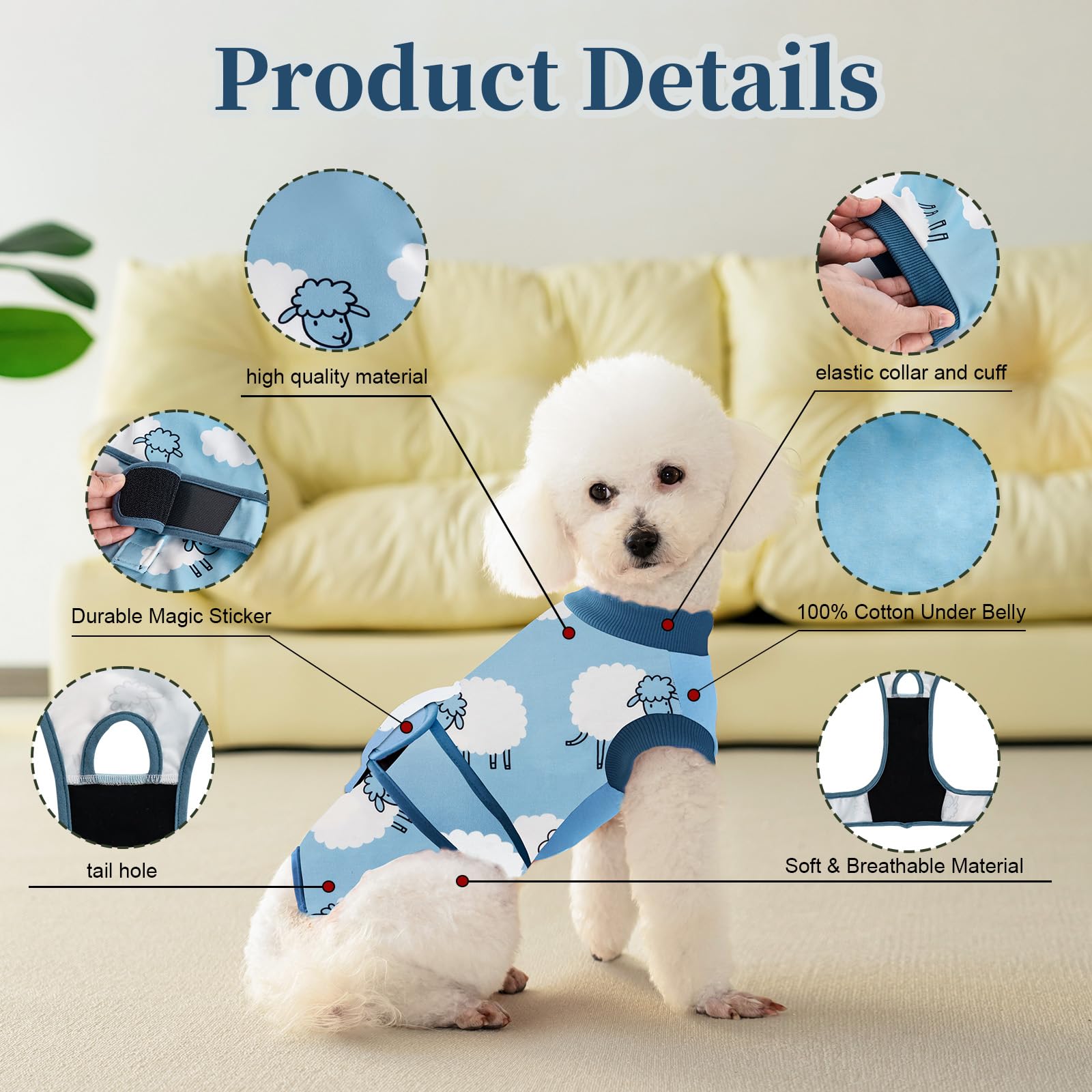 Aimydog Recovery Suit serves as cone alternative, protecting wounds while keeping the dog comfortable.