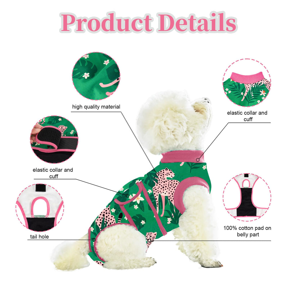 Aimydog recovery-suit-cone-alternative demonstrates protective coverage during healing
