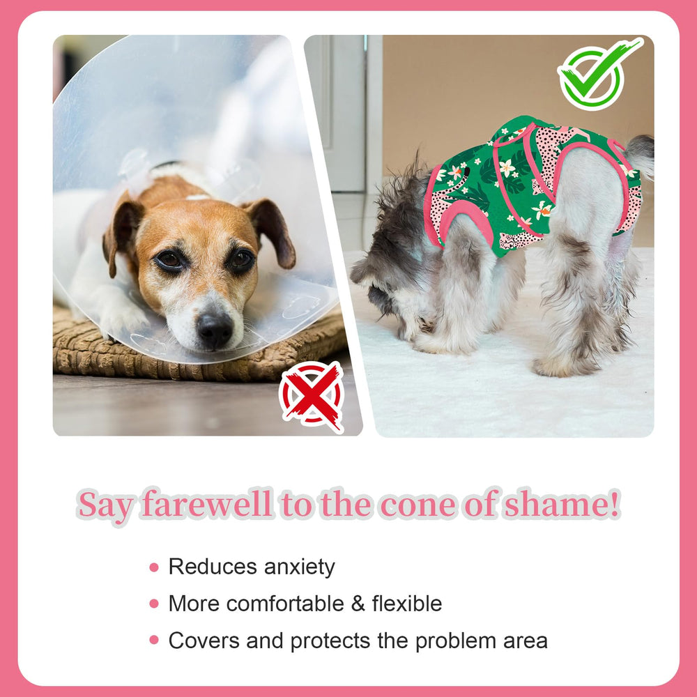 Aimydog recovery-suit-easy-closure-tapes shows quick secure fit for daily use