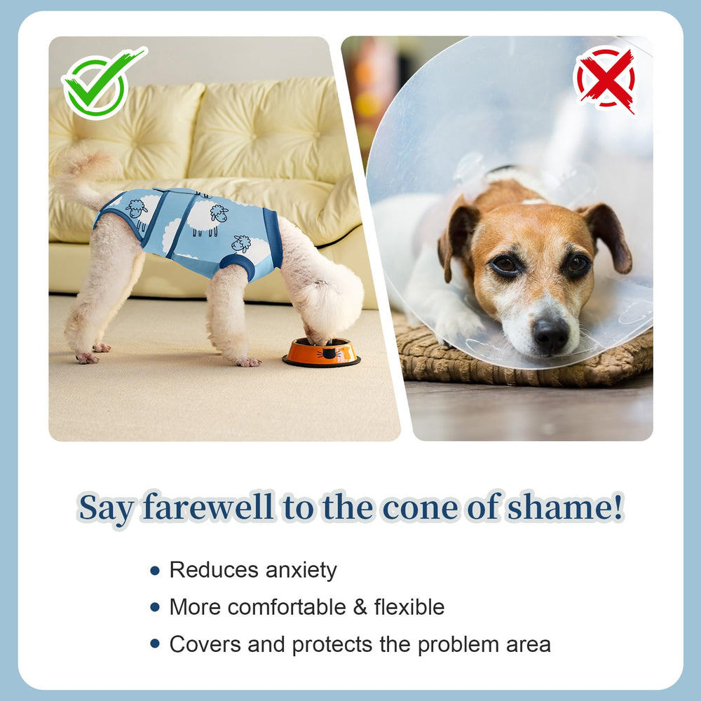 Aimydog Recovery Suit prevents licking and scratching after surgery.