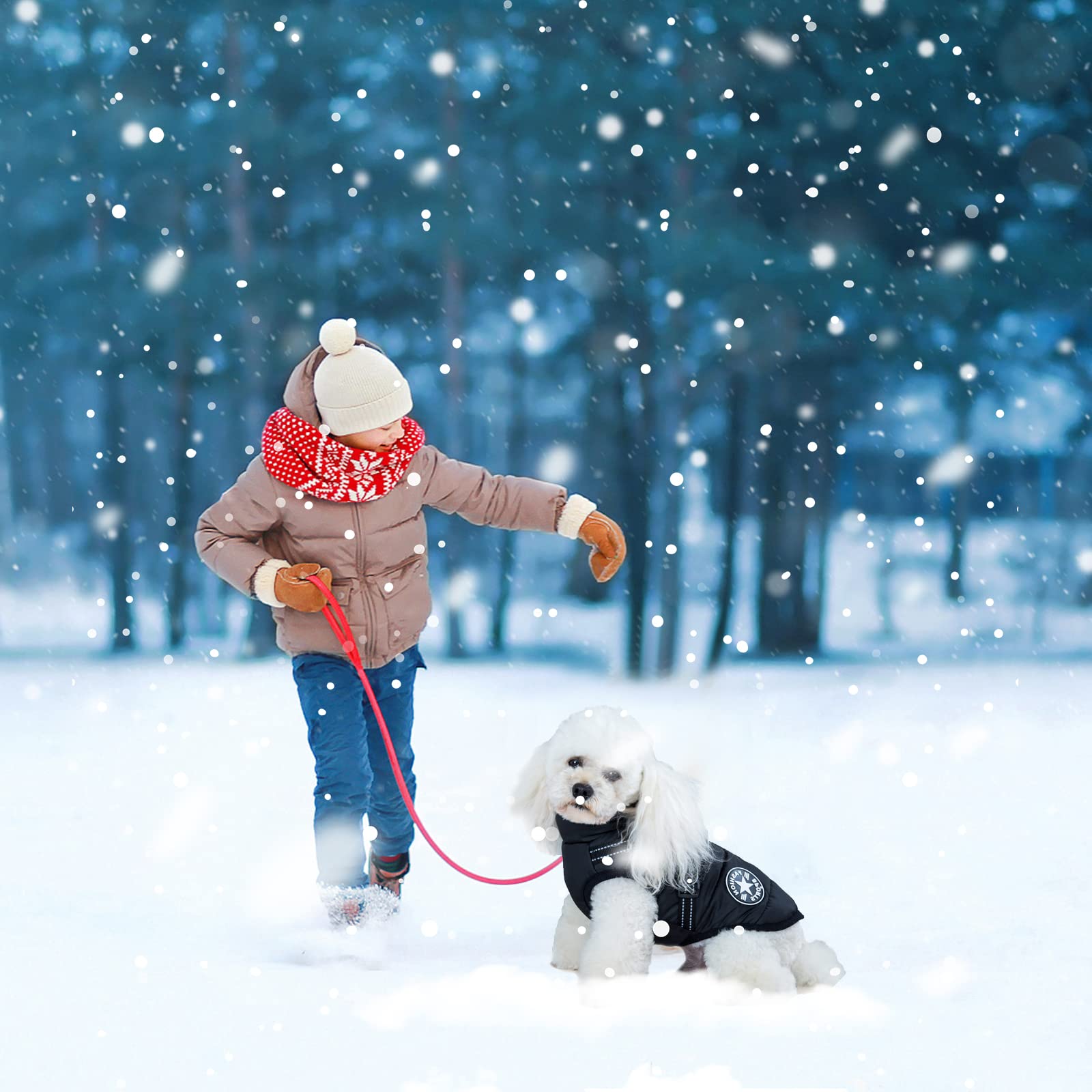 AIMYDOG Warm Dog Winter Coat size-chart image illustrating multiple size options.
