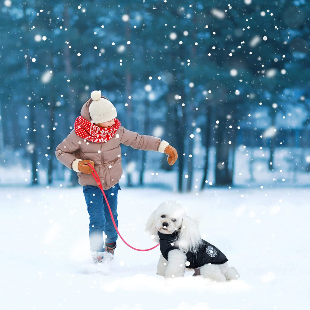 AIMYDOG Warm Dog Winter Coat size-chart image illustrating multiple size options.