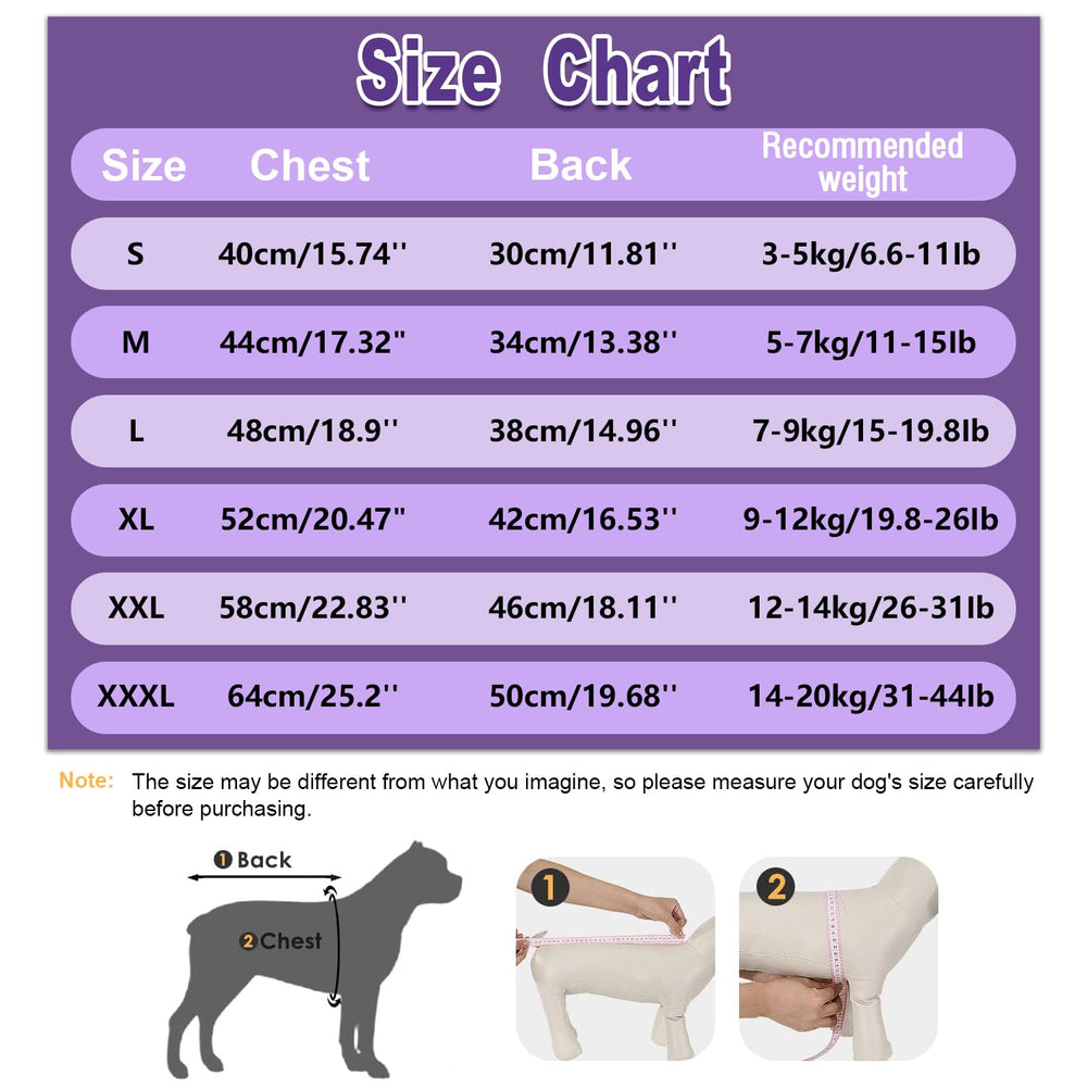 Aimydog Winter Coat back zipper demonstrates easy on/off and secure closure