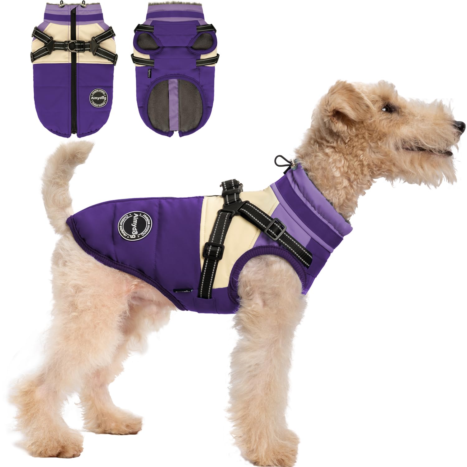 Aimydog Winter Coat front view purple shows snug fit for cold walks