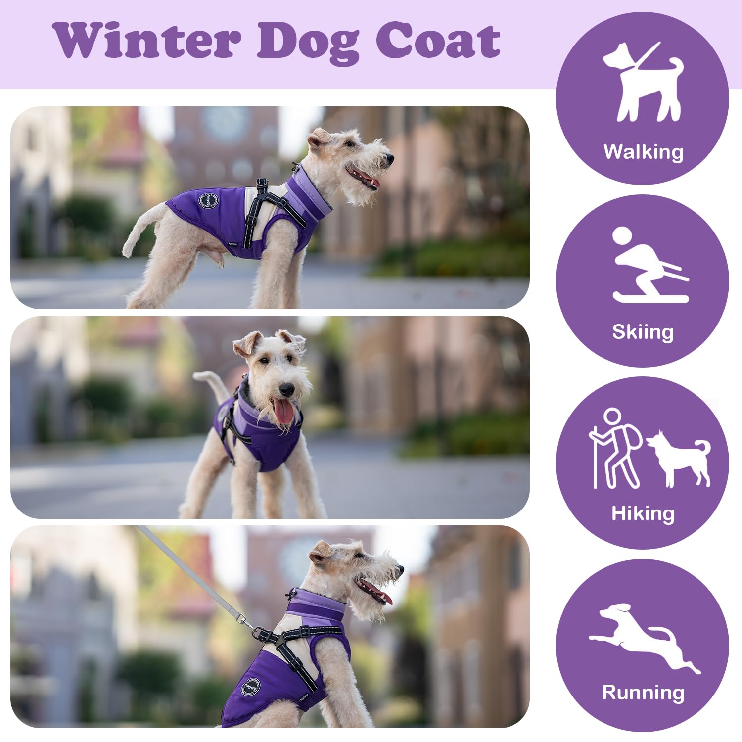 Aimydog Winter Coat size chart image helps choose the right fit