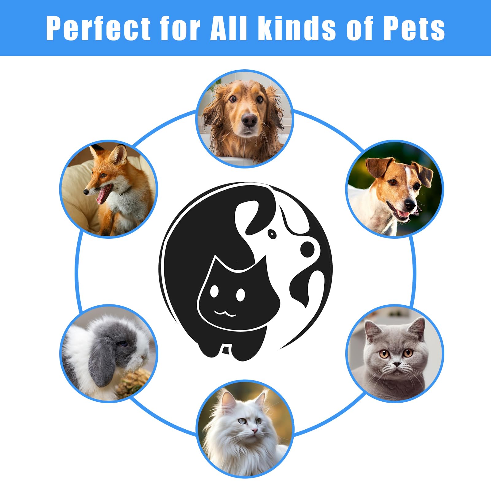 Aiolpy Pet Grooming Kit fine grooming comb targeting delicate areas