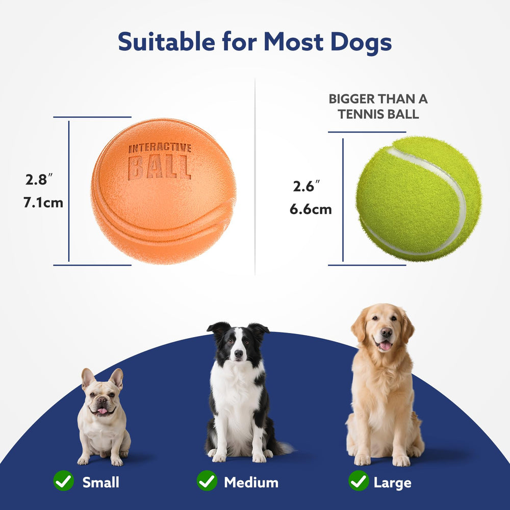 AIPERRO dog ball LED lights in action for visibility