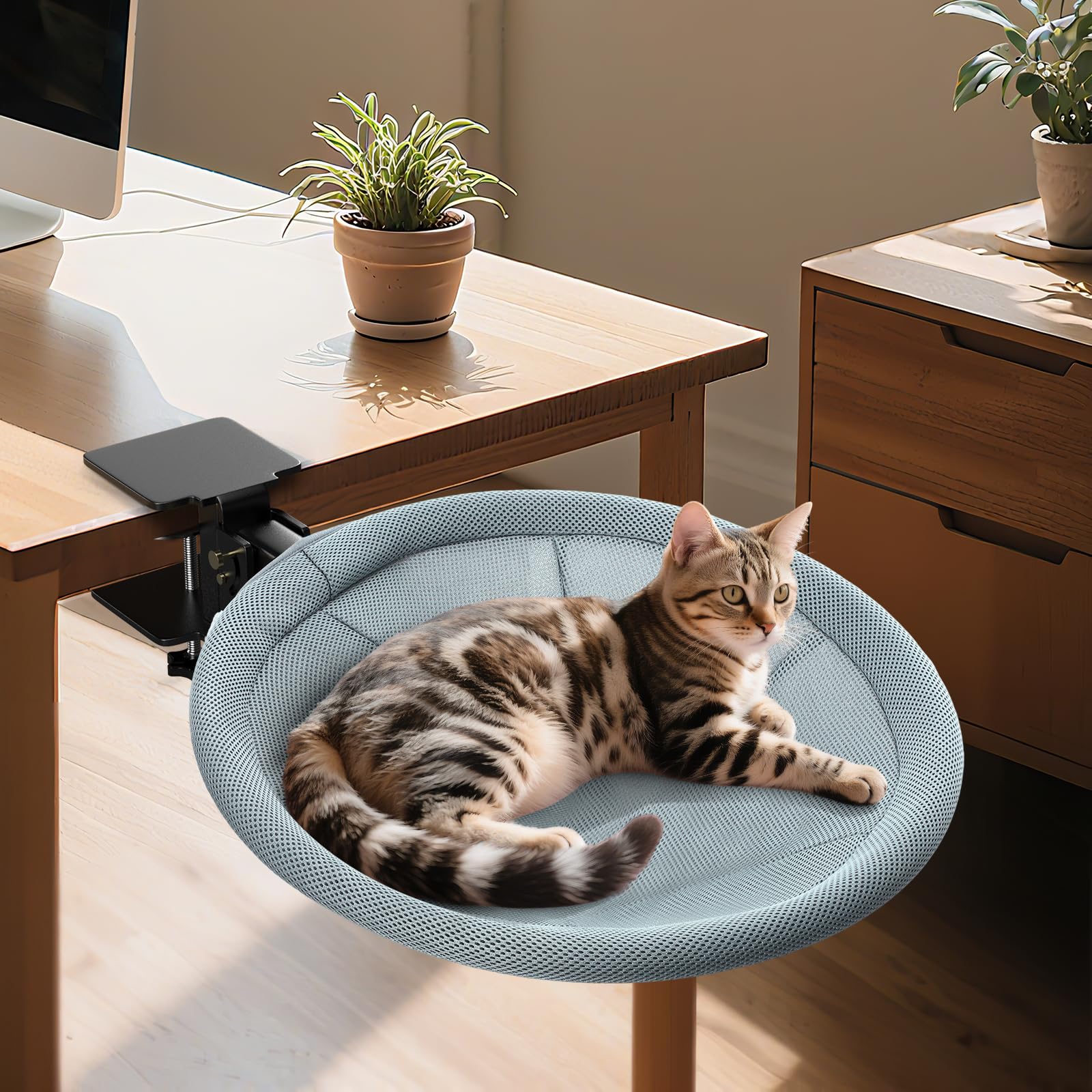 AIPERRO Foldable Cat Desk Bed supports up to 45 lbs, suitable for larger cats.