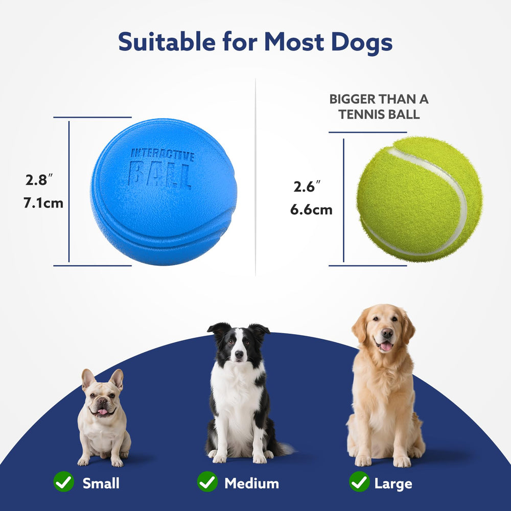 AIPERRO interactive dog ball IPX7 waterproof for rain and splashes
