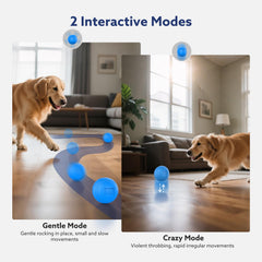 AIPERRO interactive dog ball outer-shell material emphasizes durability
