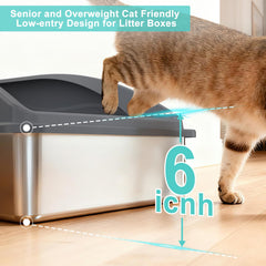 Aiperro large interior accommodates multiple cats with roomy movement.