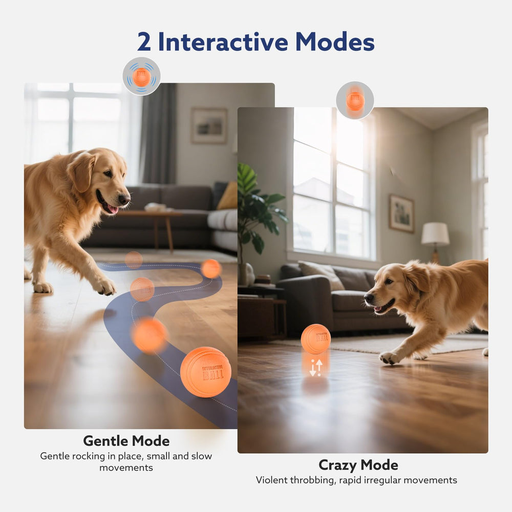 AIPERRO outdoor puddle-ready play in damp conditions