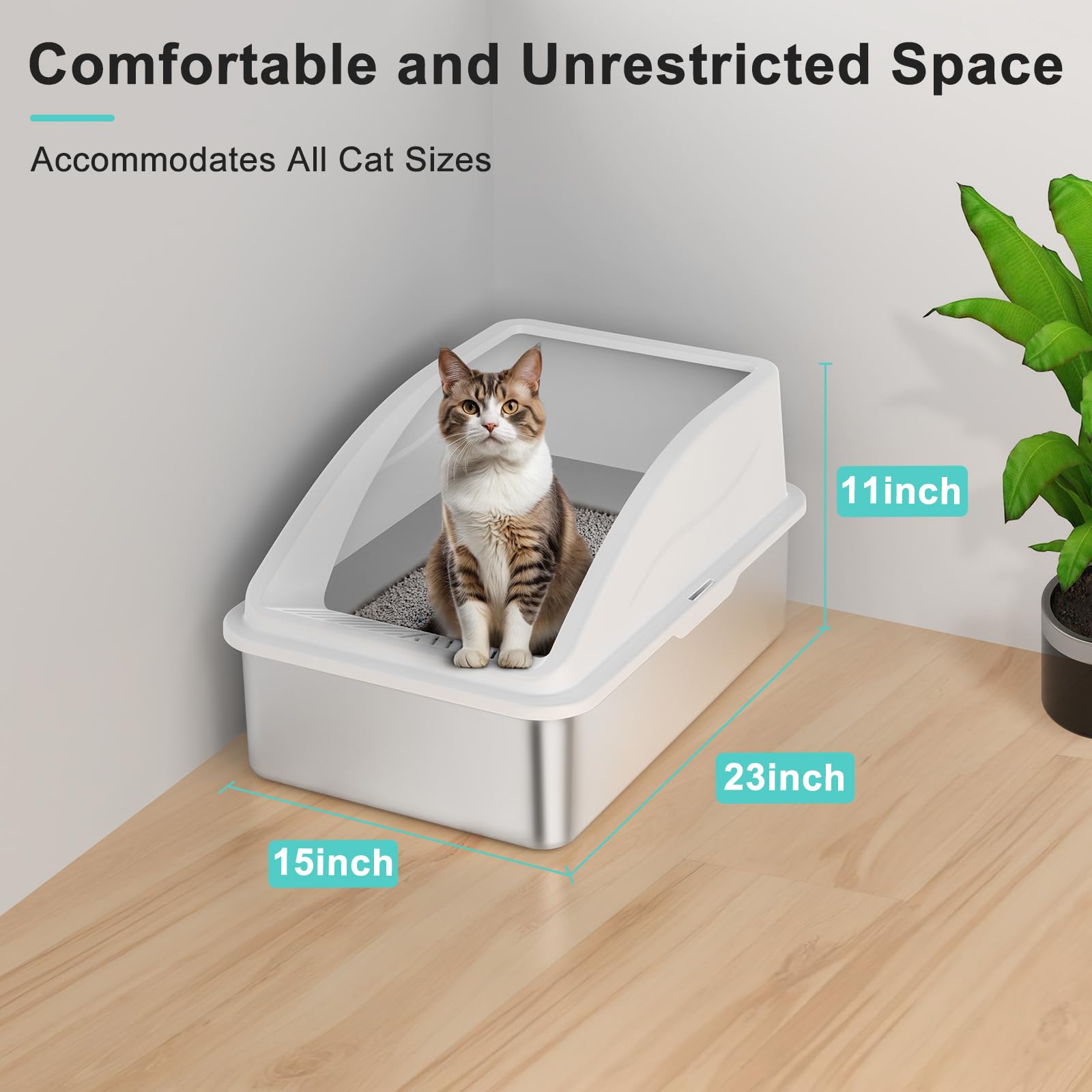 AIPERRO two-pack setup suits multi-cat households with durable stainless steel design