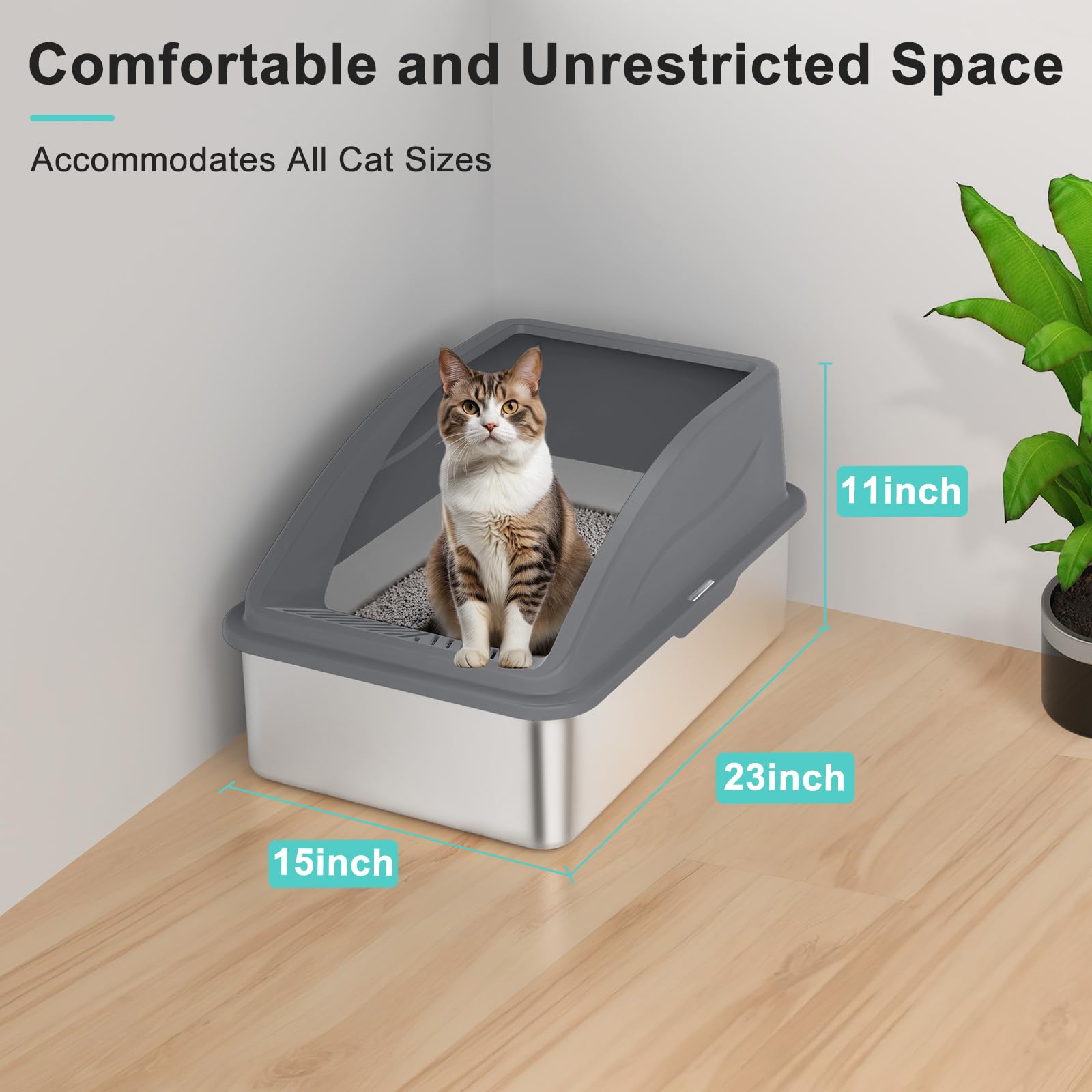 AIPERRO XL two-pack provides a practical multi-cat solution.