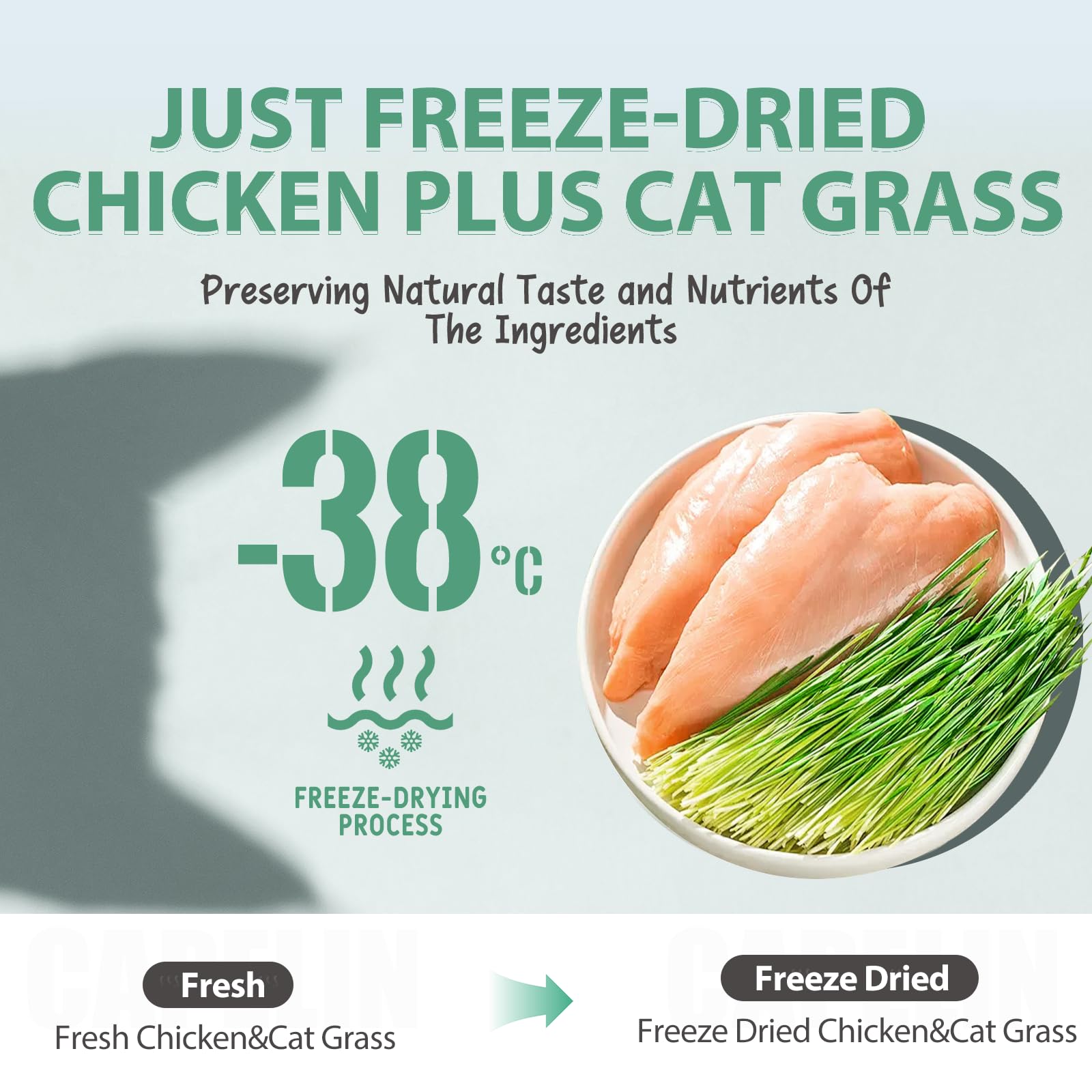AIPETI tasty chicken flavor closeup appealing to picky eaters