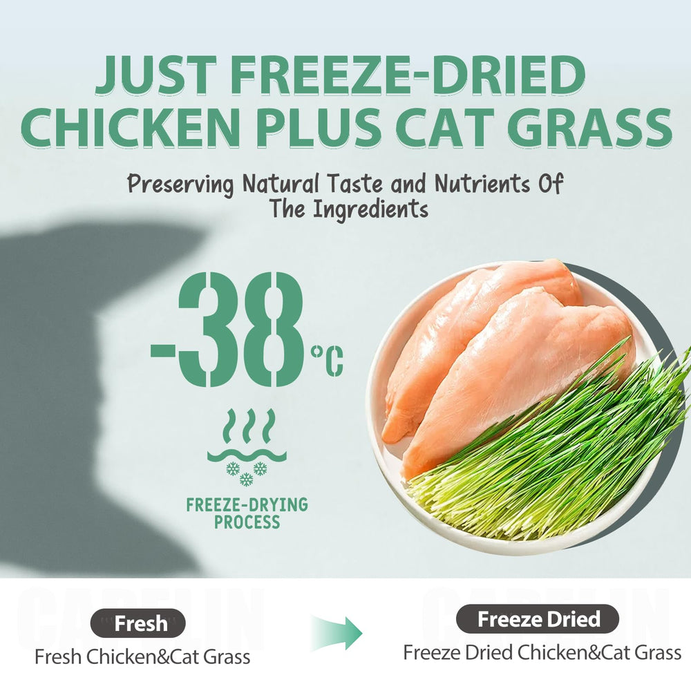 AIPETI tasty chicken flavor closeup appealing to picky eaters