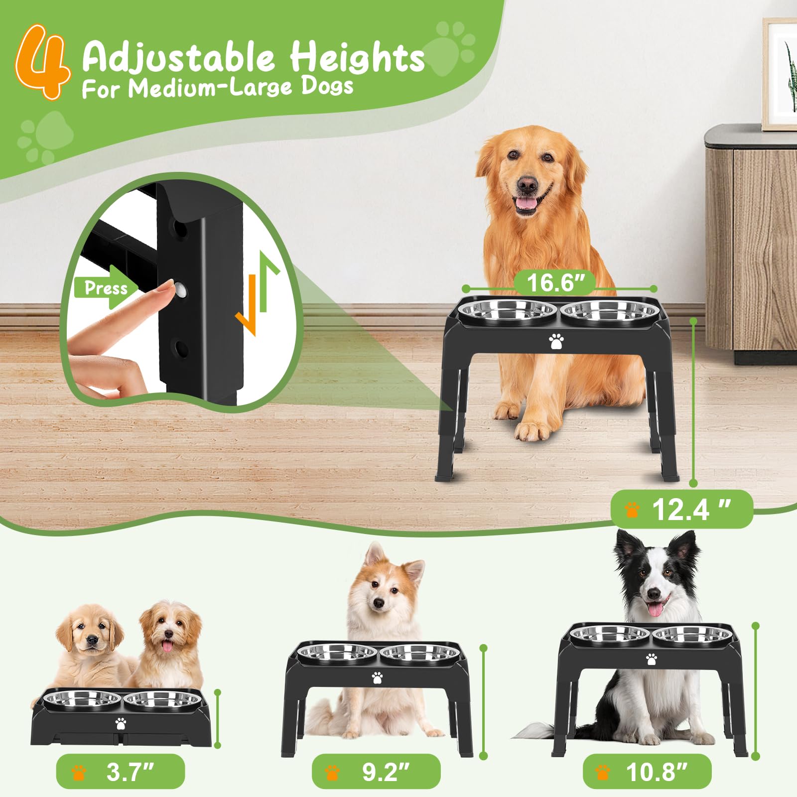 AIRMX elevated bowls stand and bowls showcase a durable stainless design for long-lasting use.