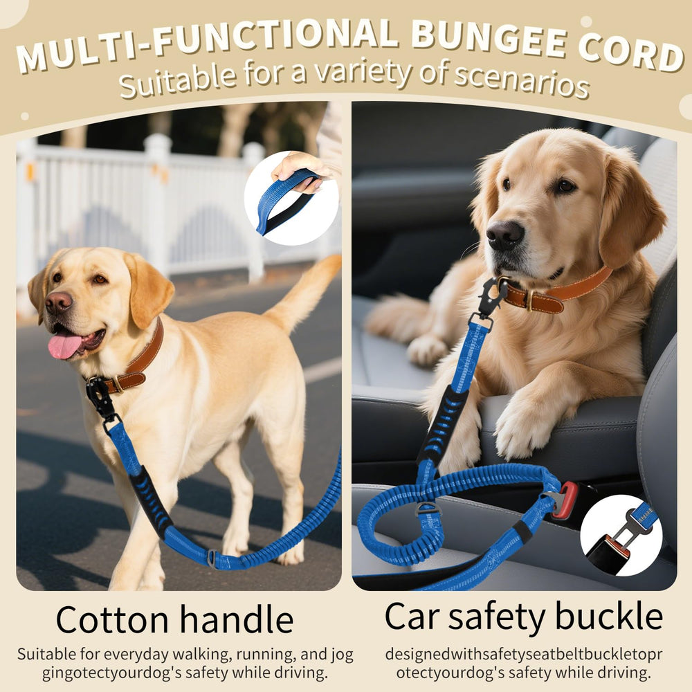 AIRUIDOG leash highlighting dual grip points for versatile handling.
