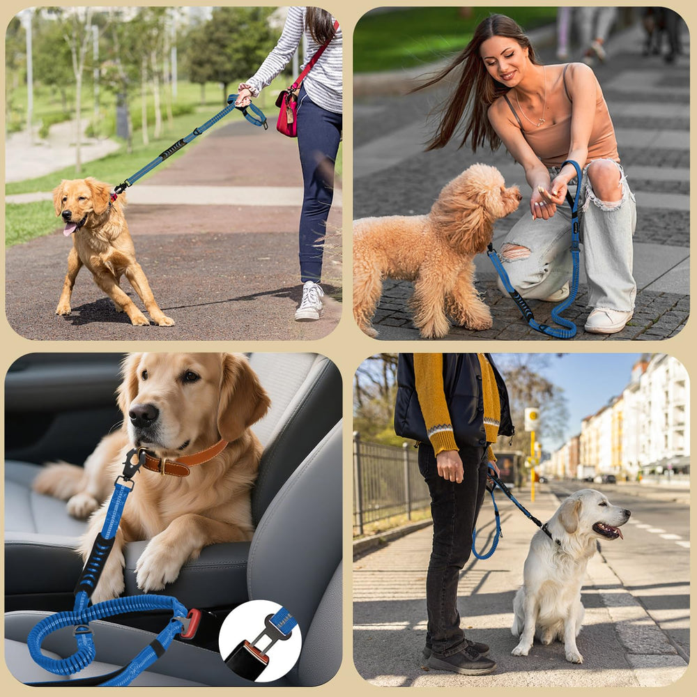 AIRUIDOG leash displaying reinforced stitching for durable performance.