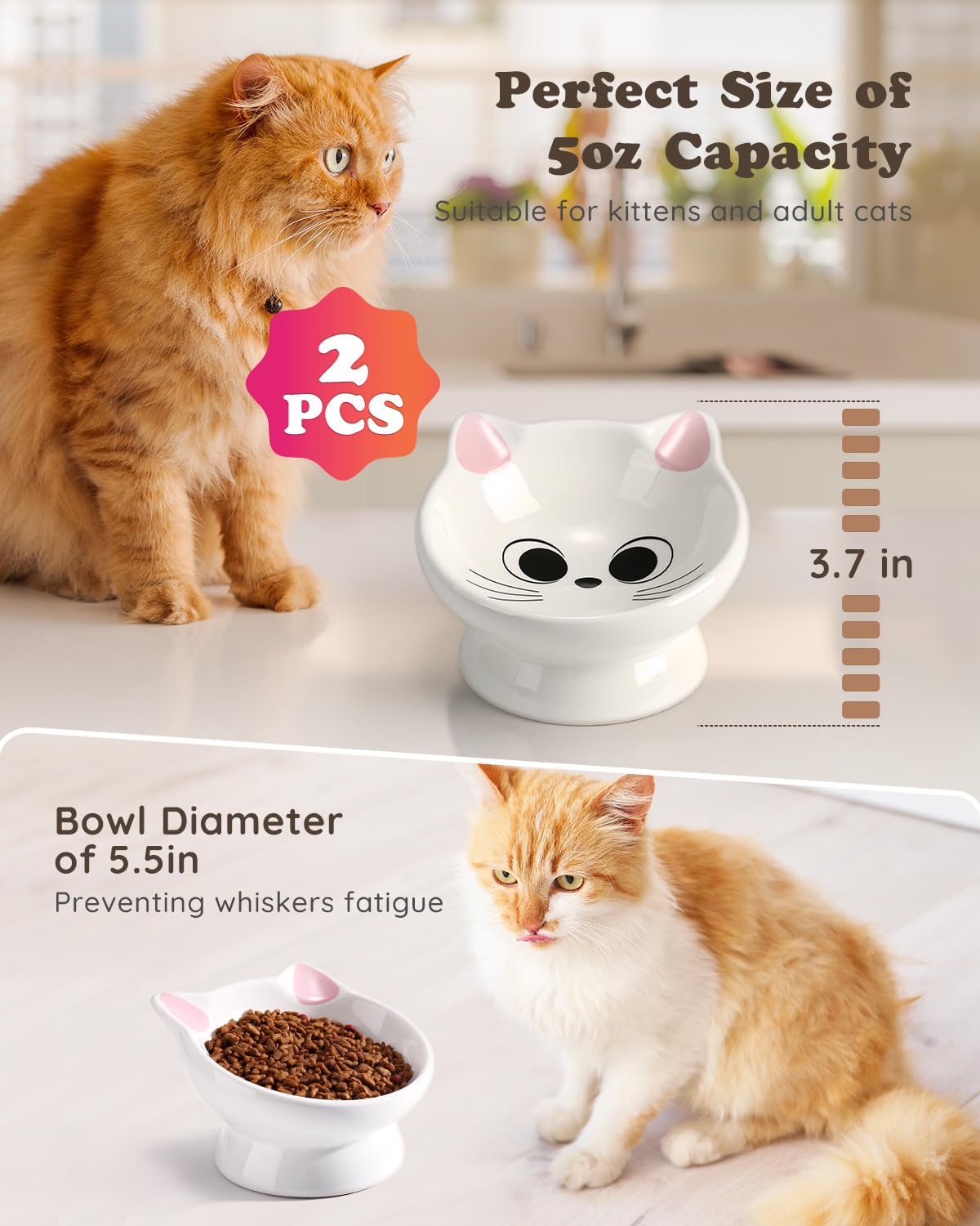 AISBUGUR ceramic cat-food bowl anti-vomiting base for cleaner meals.