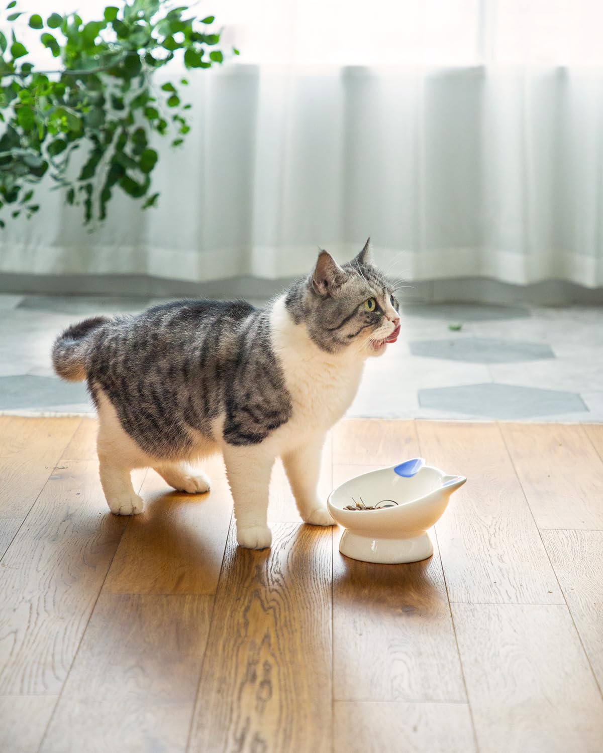 AISBUGUR dishwasher-safe ceramic bowl is easy to sanitize after meals.