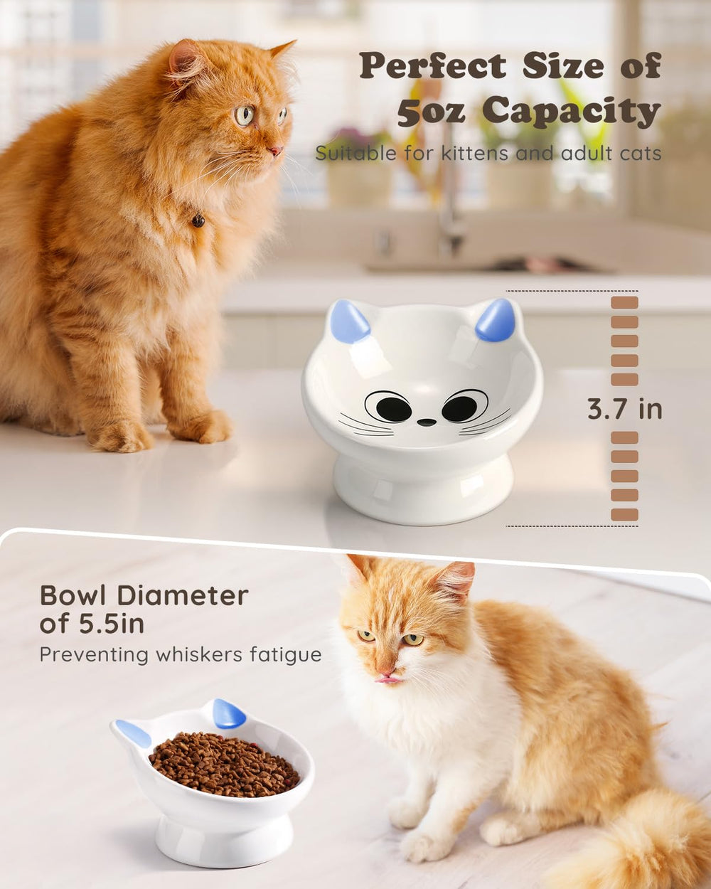 AISBUGUR anti-vomiting design helps concentrate food and reduce whisker fatigue.