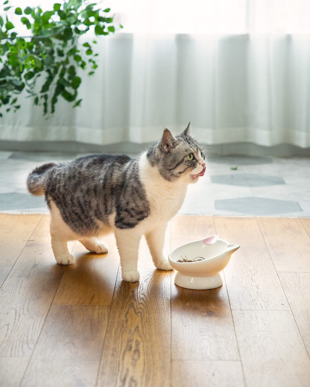 AISBUGUR pink cat bowls for calm, focused eating sessions.