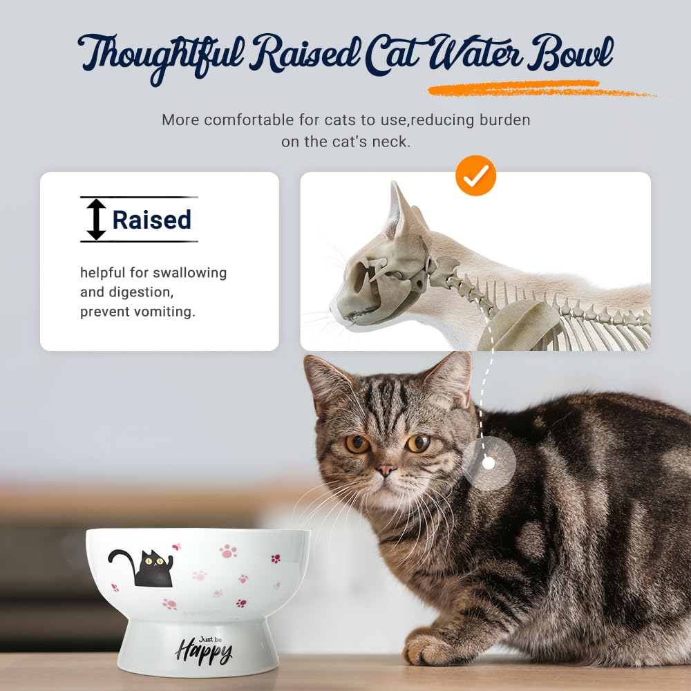 AISBUGUR porcelain raised cat bowl pink highlights 3.5-inch height for easy access.