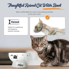 AISBUGUR porcelain raised cat bowl pink highlights 3.5-inch height for easy access.
