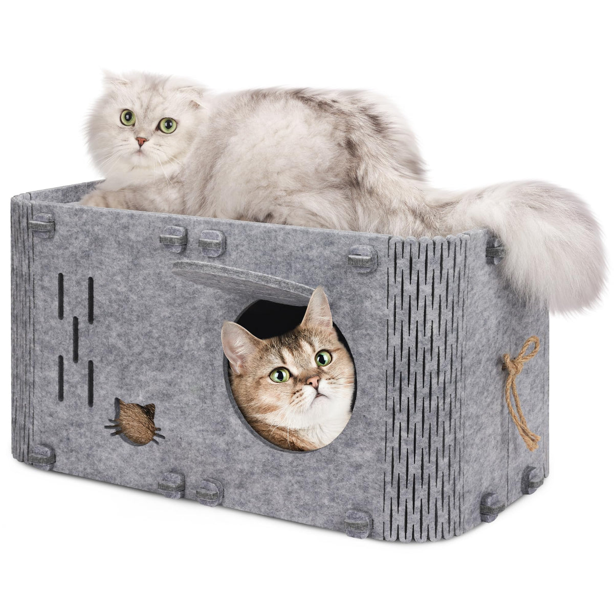 Aitmexcn cat house indoor two-in-one offers cozy retreat and play.