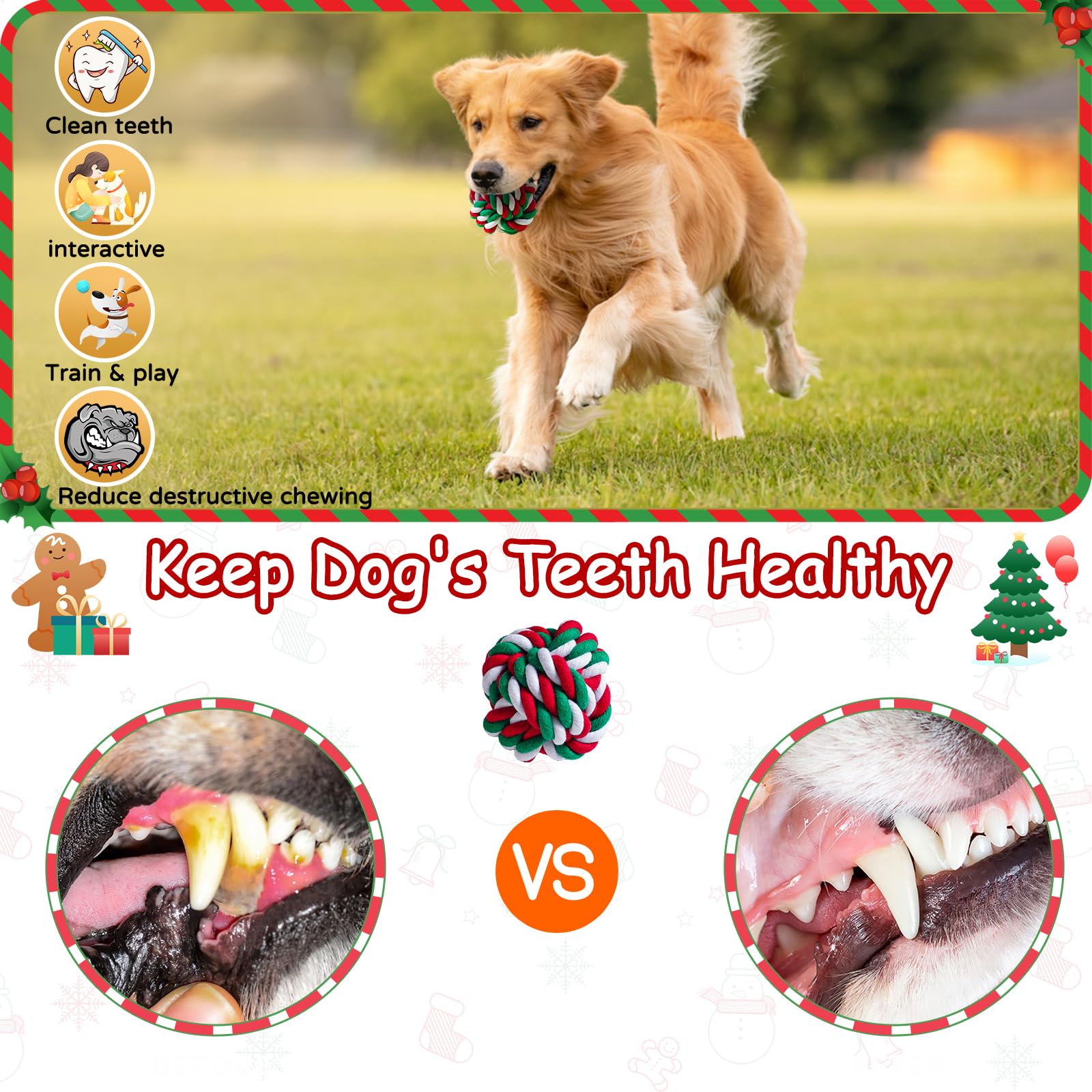 Aitmexcn Christmas dog rope toys set at a festive party scene encourages bonding