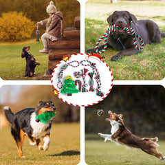 Aitmexcn Christmas Santa squeaky toy adds festive attention during play