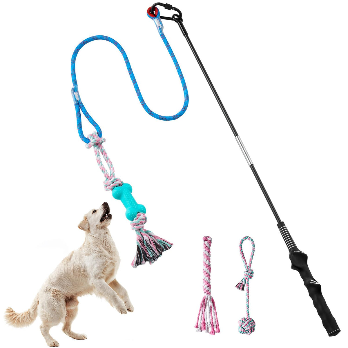 Aitmexcn flirt-pole-dogs-chase shows dynamic chase action for canine exercise.