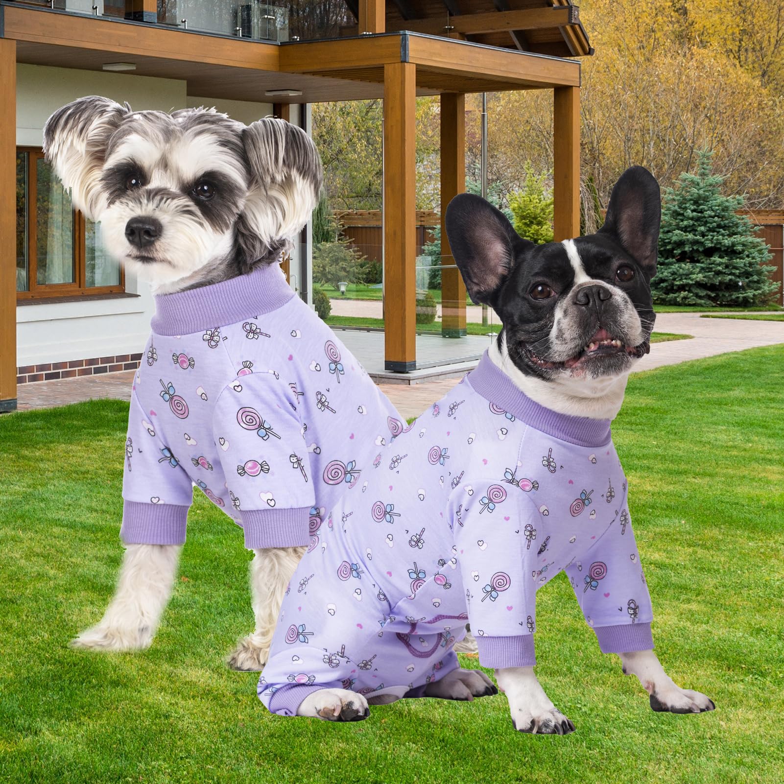 AITOLI dog recovery pajamas offer freedom of movement during rest