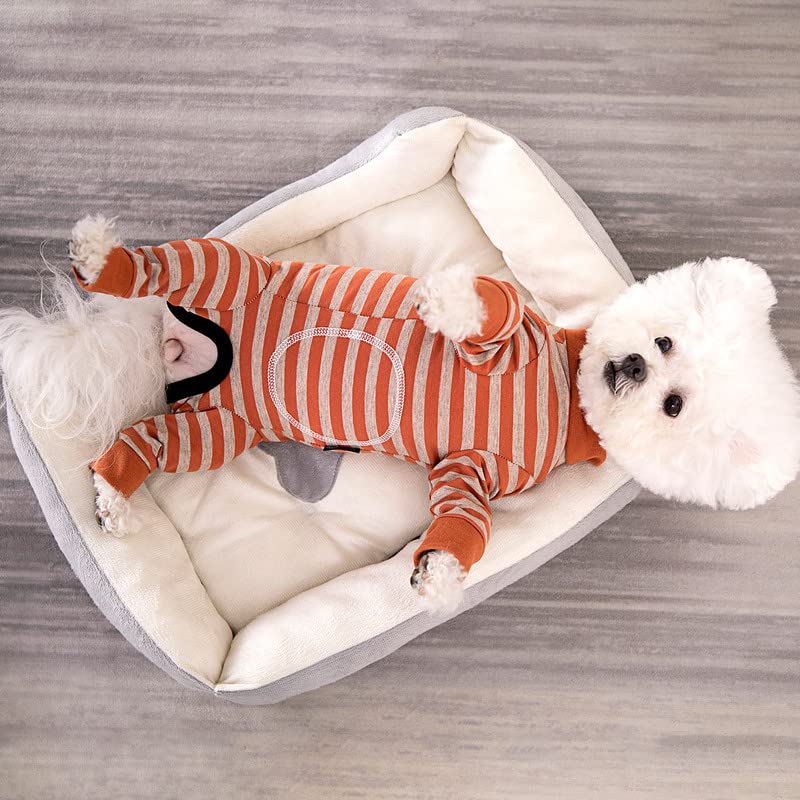 AITOLI dog striped recovery suit breathable cotton fabric for all day wear