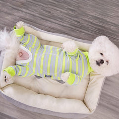 AITOLI Dog Striped Recovery Suit green abdomen wound care view showing protection