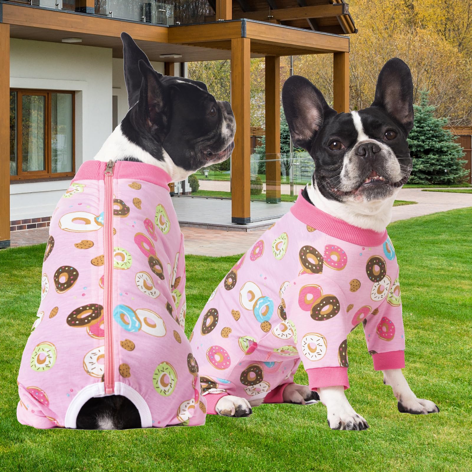AITOLI daily-pajamas keep pets comfy while recovering at home.
