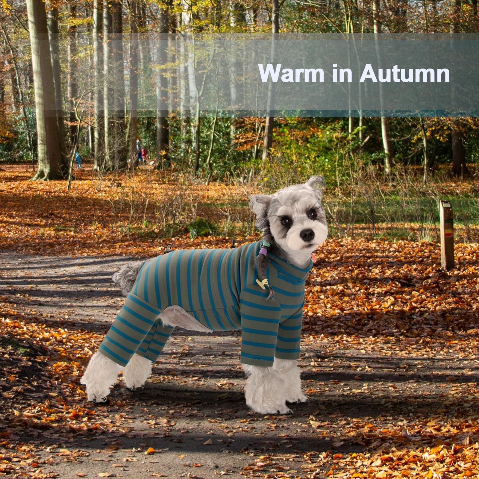 AITOLI dog wearing striped pajama for daily comfort and warmth