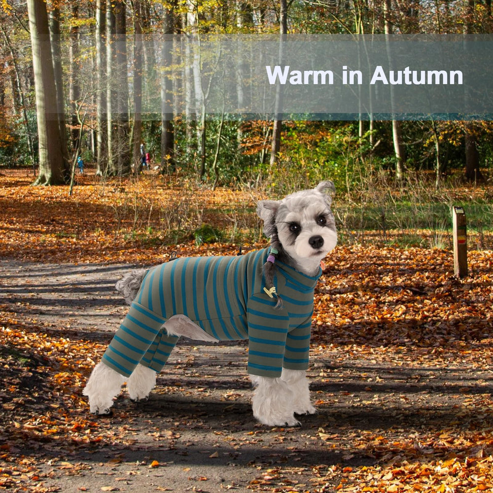 AITOLI dog wearing striped pajama for daily comfort and warmth