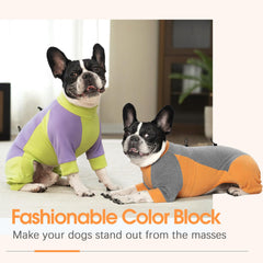 AITOLI dog winter coat color-block design close-up highlights bright style for festive outings